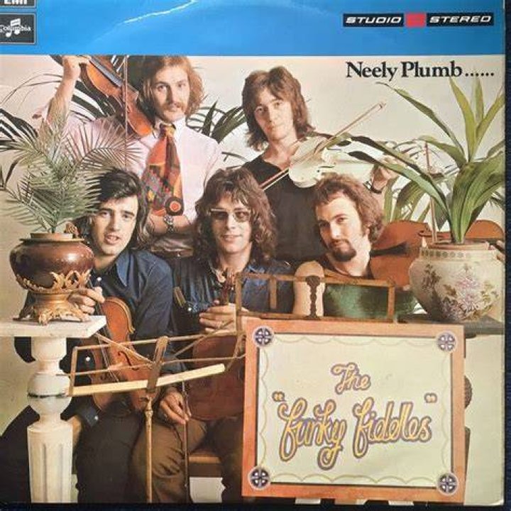 Neely Plumb Funky Fiddles Funky, Fiddle, Plumbing