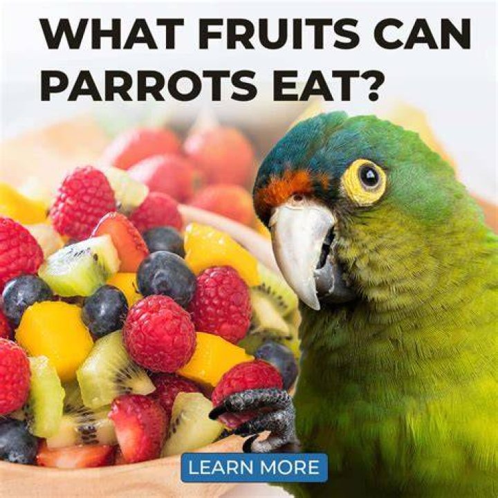 PetKeen_Can Parrots Eat_raspberries