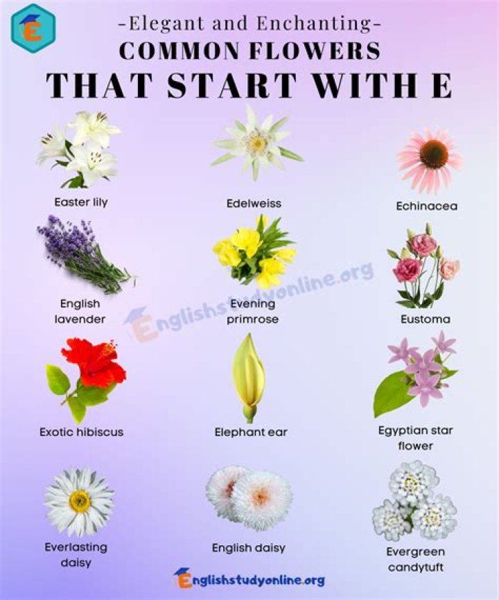 Plants That Start With E English as a Second Language