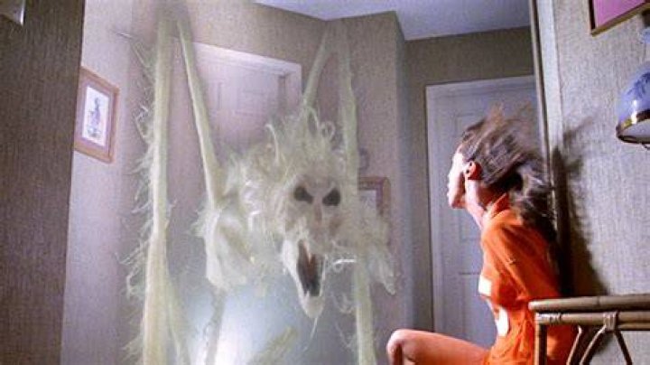 Poltergeist - The Beast Attacks Diane Freeling