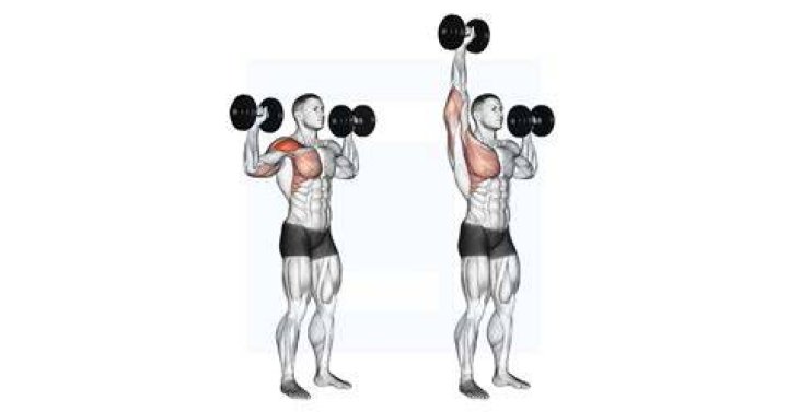 Press up, Arm, Shoulder, Joint, Fitness professional, Abdomen, Plank, Leg, Chest, Physical fitness, 