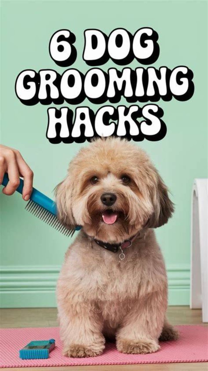 Video player poster image preview for 6 Grooming Hacks You Need to Know