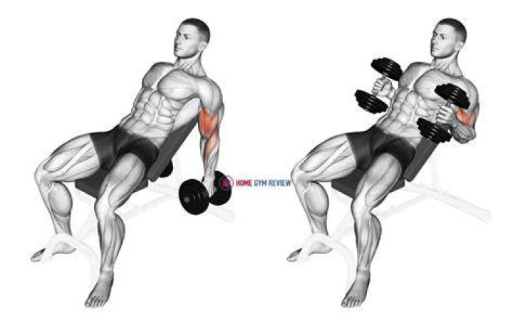 preview for incline hammer curl