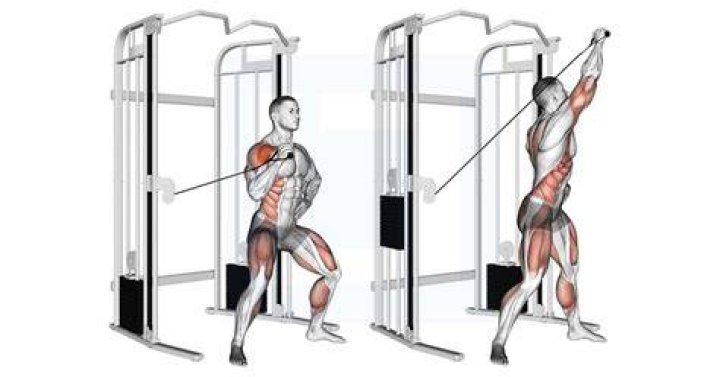 preview for Standing overhead cable triceps extension