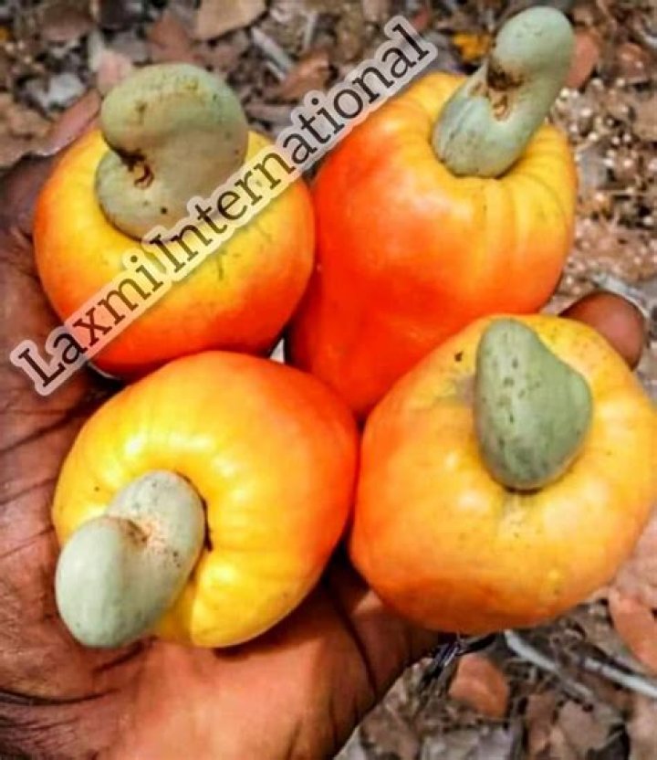 Rate GuguMbatha Raw