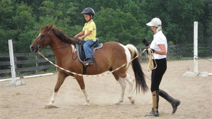 riding instructor and boy riding a horse
