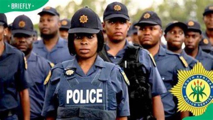 SAPS firearm status check: Everything you need to know
