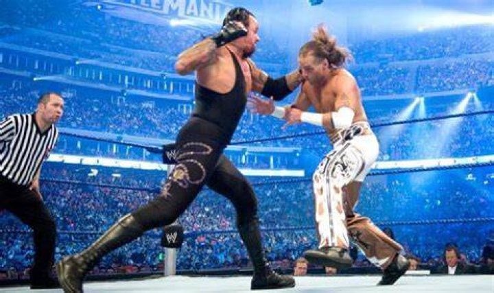 Shawn Michaels v The Undertaker WrestleMania 26 Cropped