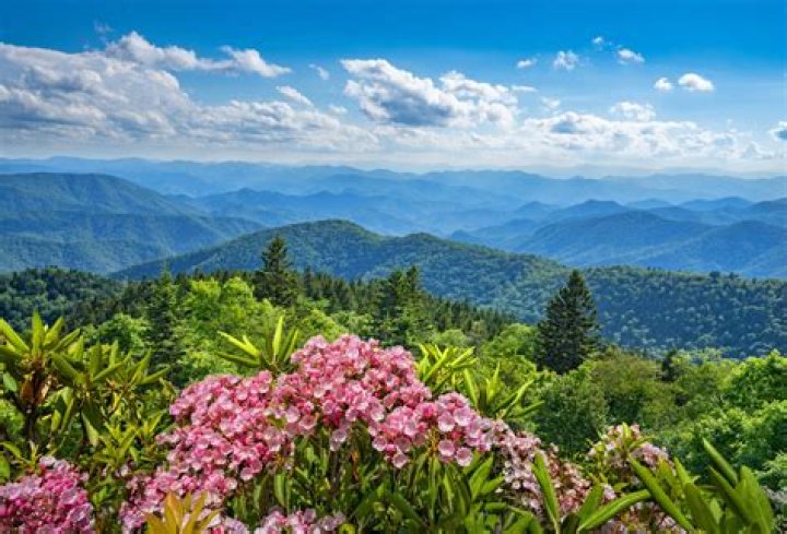 Smoky Mountain