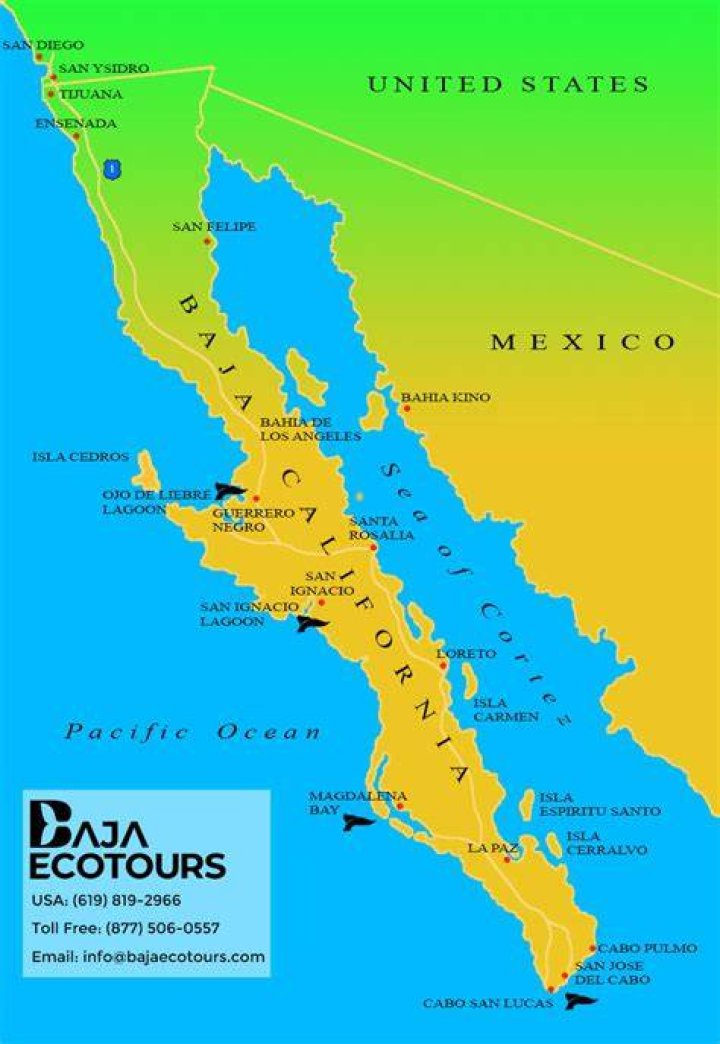 The Baja objective map in Forza Horizon 5