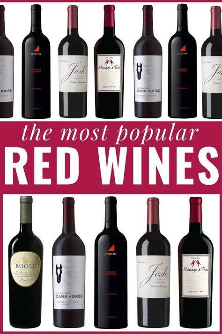 The Best Red Wines For Beginners