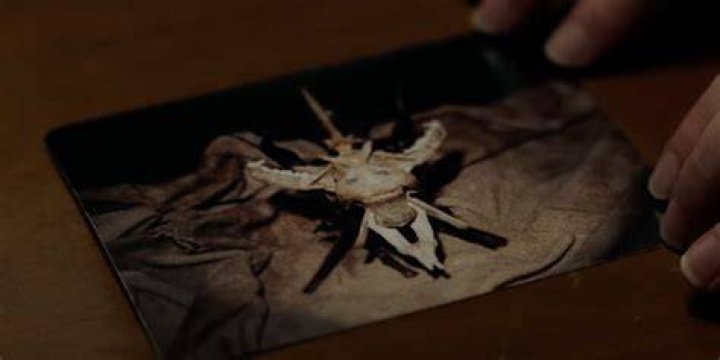 the conjuring 3 witches totem