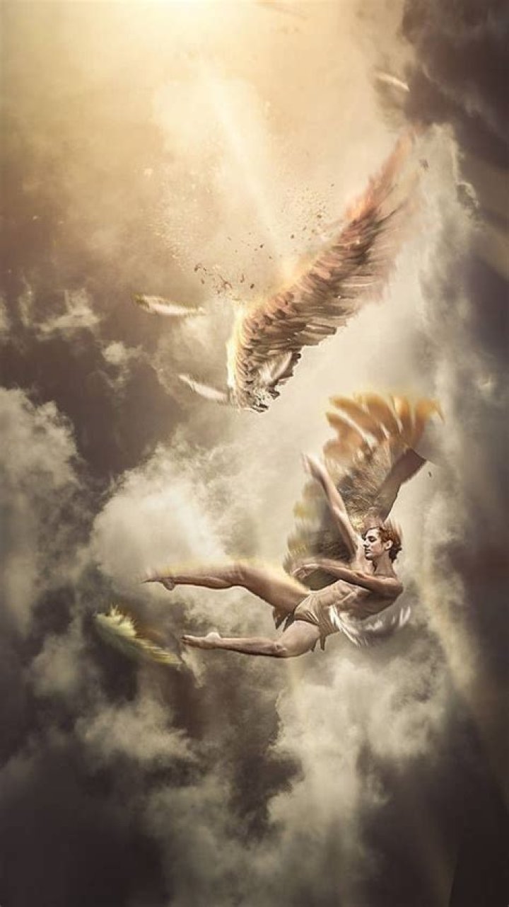 The Fallen Angel