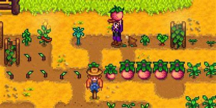 The player character harvests green beans in Stardew Valley
