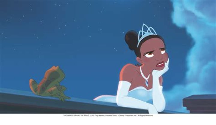 The Princess and the Frog Fan Cast