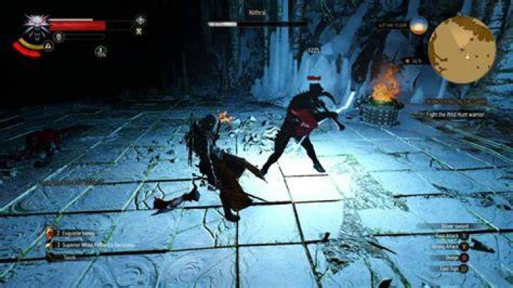 The Witcher 3 Boss Battle