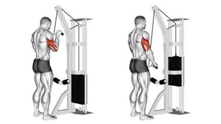 tricep pushdown tricep pushdown