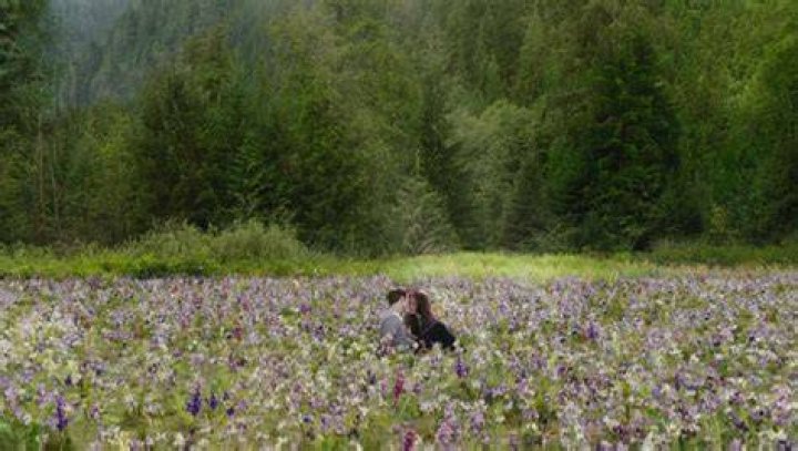 Twilight Bella Edward Meadow