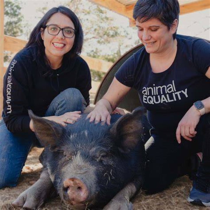 two women at an animal shelter