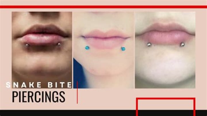 Understanding Snakebite Piercings: A Comprehensive Guide