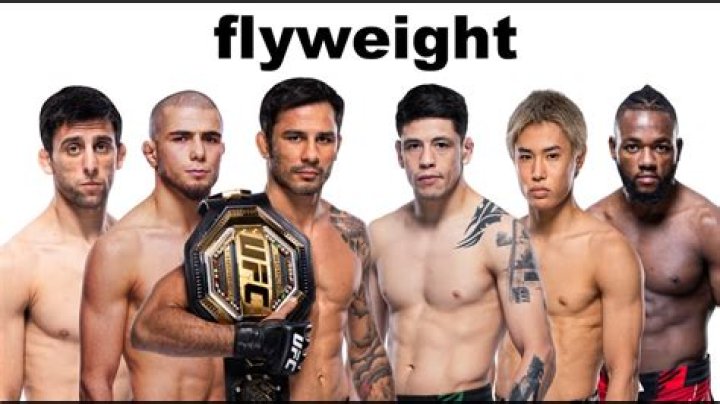 Understanding The UFC Flyweight Division: A Comprehensive Guide