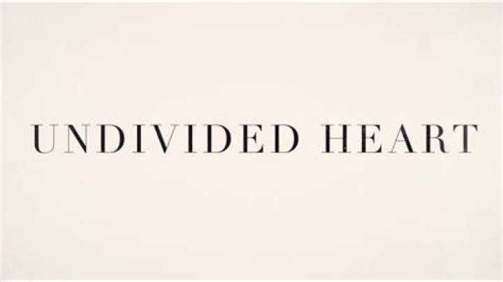 Undivided Heart by Davy Flowers