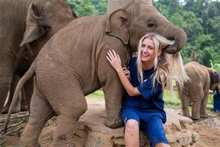 Volunteer in Thailand on a budget