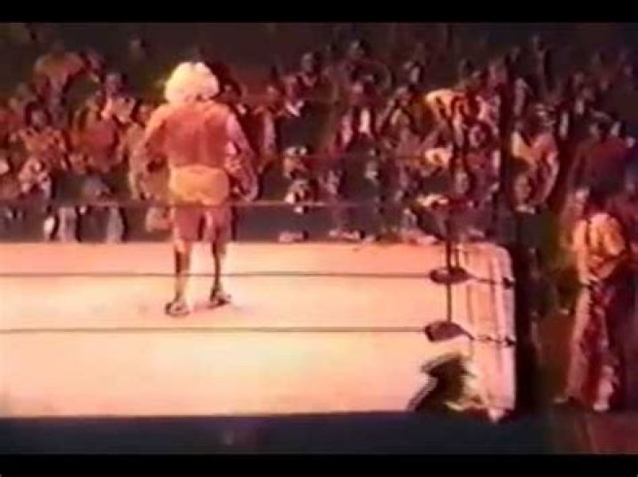 Wahoo McDaniel vs. Ric Flair