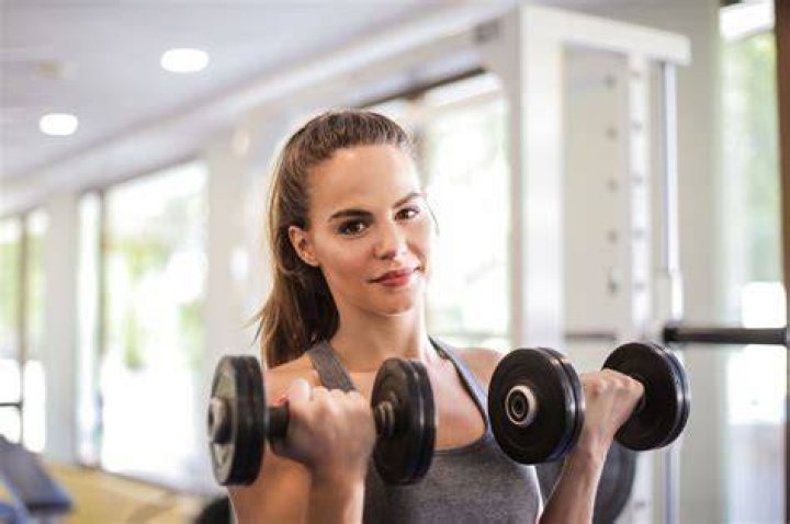 Weights, Exercise equipment, Arm, Dumbbell, Press up, Free weight bar, Shoulder, Bench, Physical fitness, Barbell, 