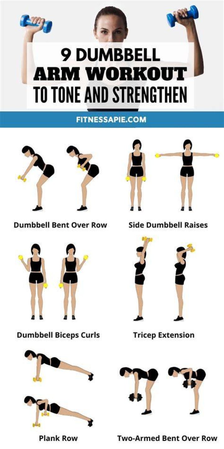 Weights, Exercise equipment, Dumbbell, Arm, Shoulder, Press up, Bench, Leg, Joint, Physical fitness, 