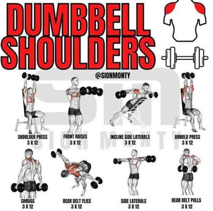 Weights, Exercise equipment, Shoulder, Dumbbell, Arm, Joint, Free weight bar, Muscle, Fitness professional, Chest, 