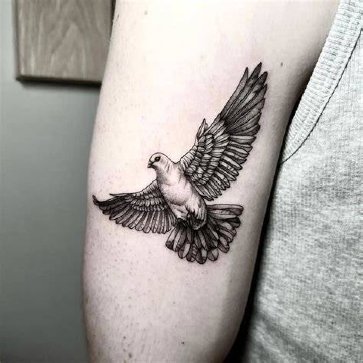 What Does A Dove Tattoo Symbolize?