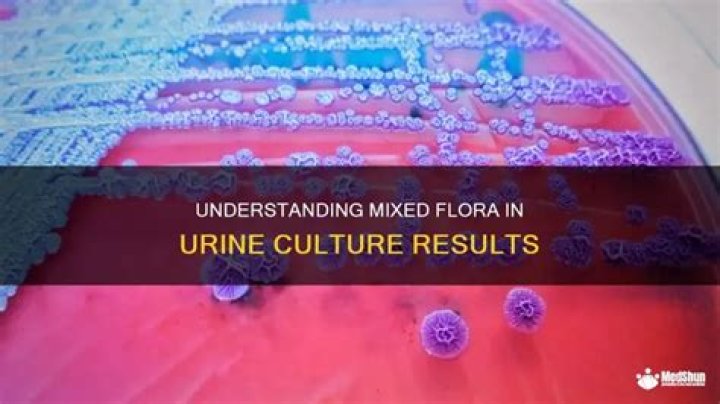What Is Mixed Skin Flora In Urine
