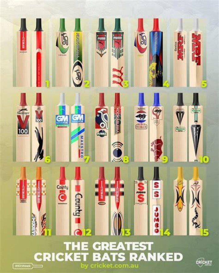 What is the best bat in the world? A list of the best cricket bats