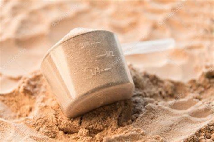 Whey protein scoop. Sports nutrition. Whey protein scoop. Sports nutrition.
