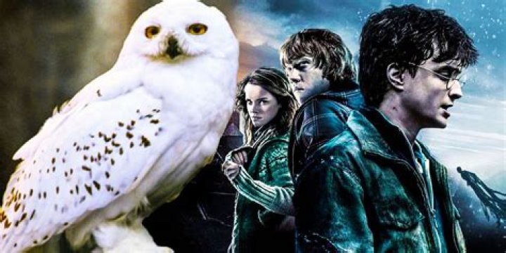 Why Hedwig was killed in harry potter and the deathly hallows