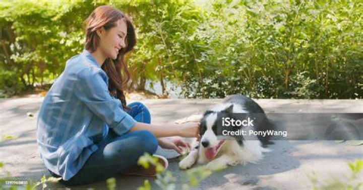 woman touching a dog in the cage in shelter